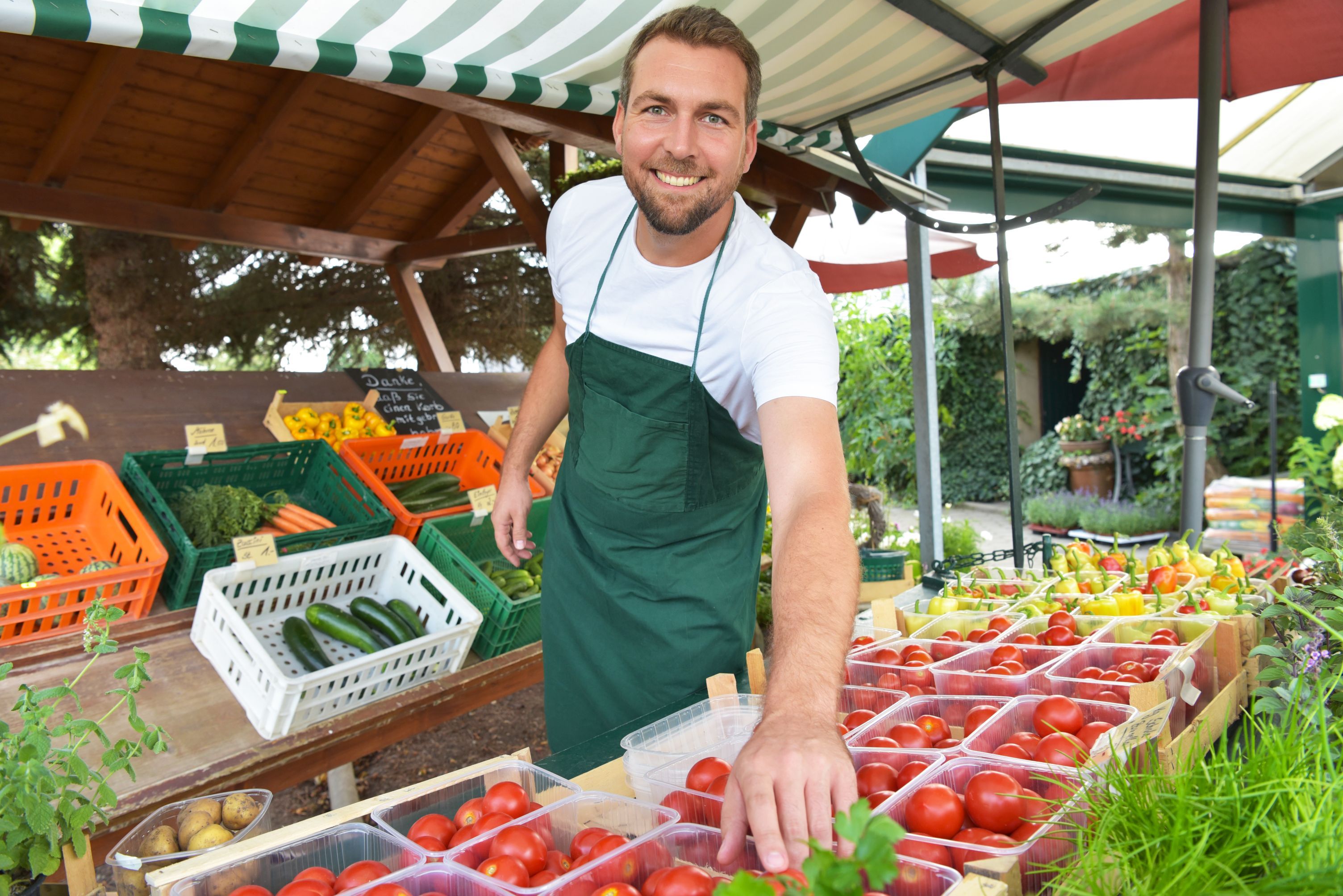 farmer sells fruit and vegetables from his own cultivation fresh from the field and from the greenhouse